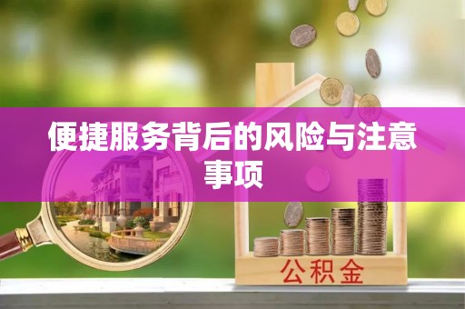 江口便捷服务背后的风险与注意事项