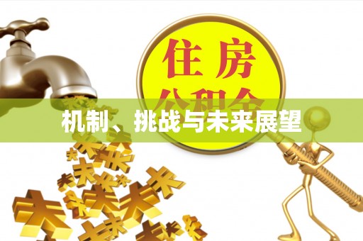 江口机制、挑战与未来展望